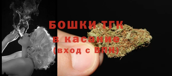 стаф Слюдянка