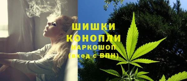 стаф Слюдянка