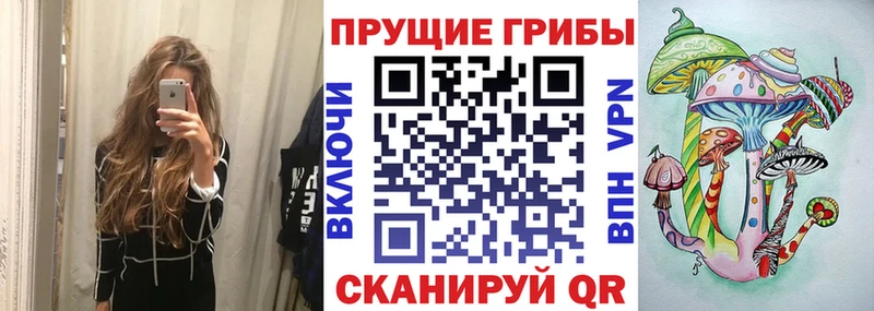 хочу   Верхотурье  Псилоцибиновые грибы GOLDEN TEACHER 