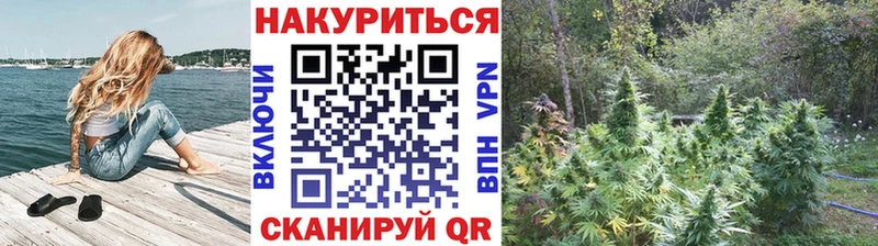 как найти наркотики  блэк спрут онион  Бошки Шишки план  Верхотурье 